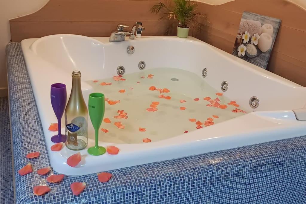Central Terrace Escape With Jacuzzi ティミショアラ エクステリア 写真