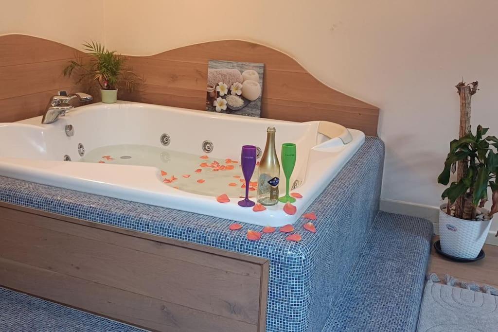 Central Terrace Escape With Jacuzzi ティミショアラ エクステリア 写真