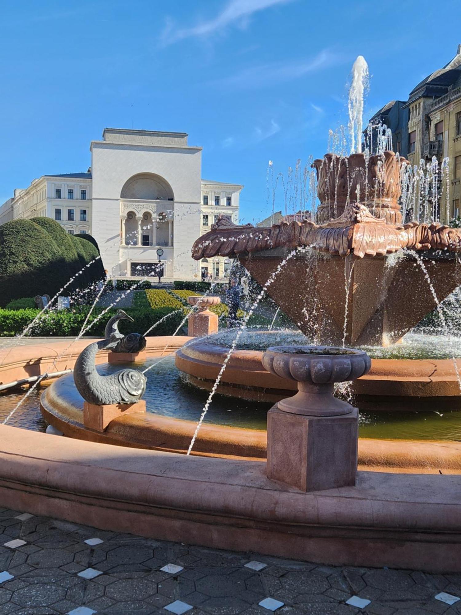 Central Terrace Escape With Jacuzzi ティミショアラ エクステリア 写真