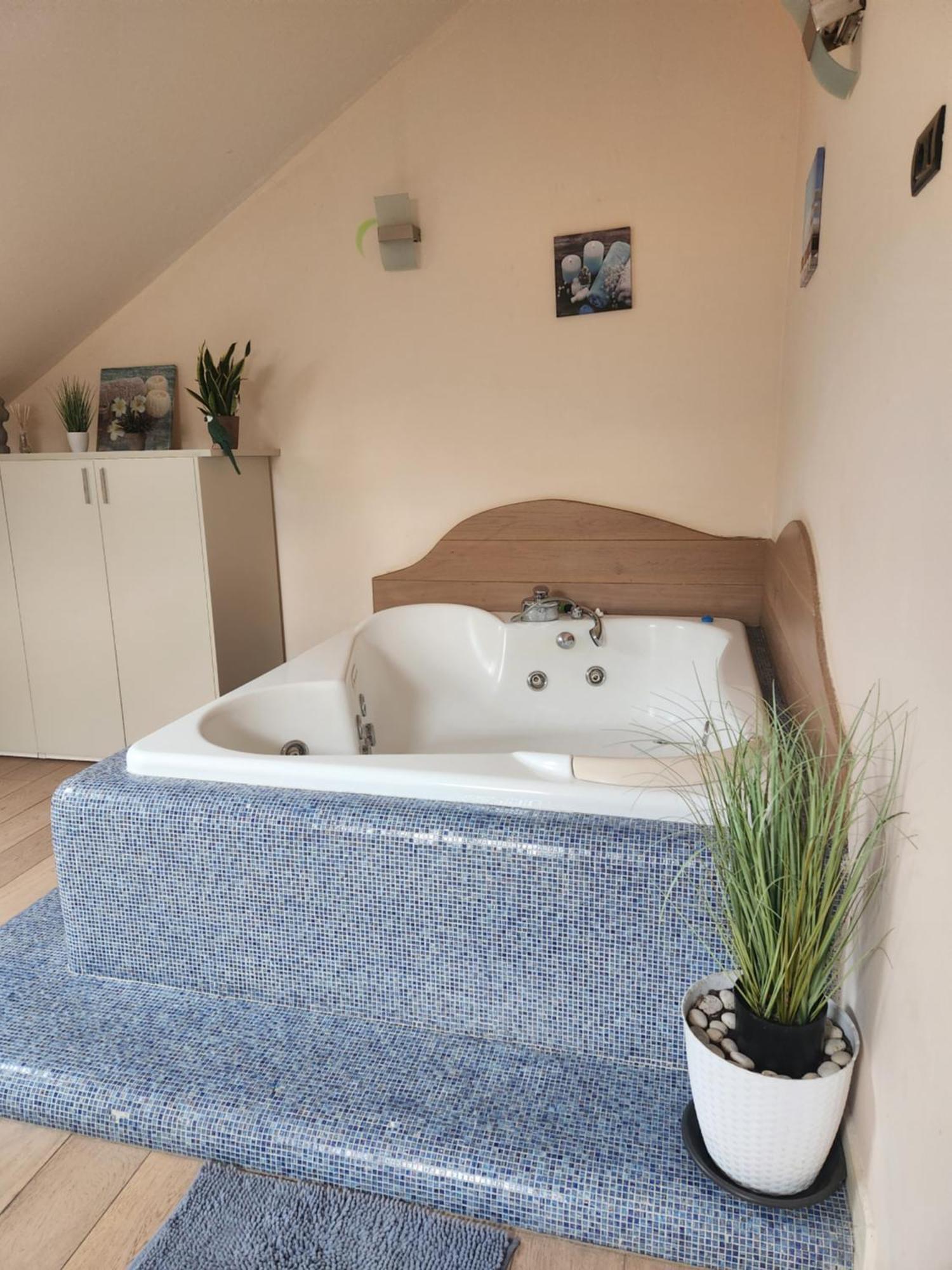 Central Terrace Escape With Jacuzzi ティミショアラ エクステリア 写真