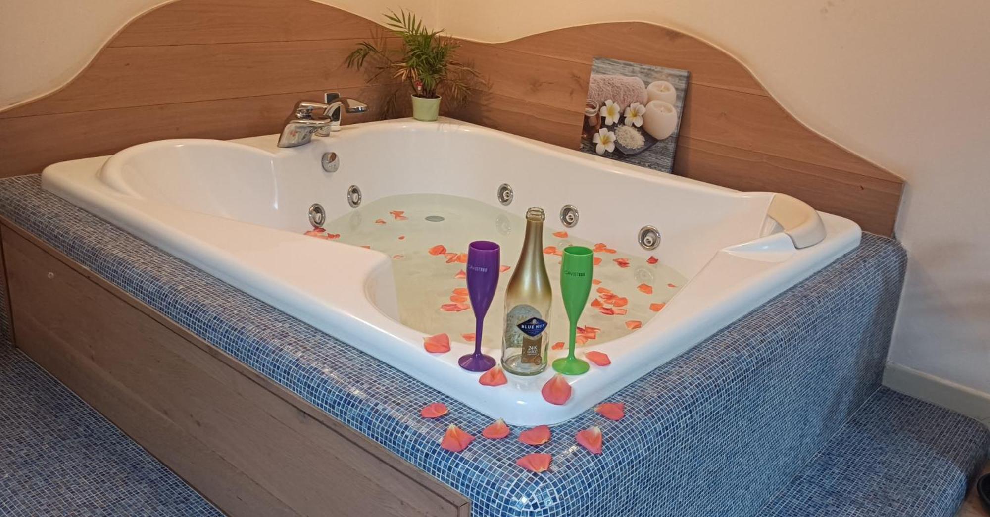 Central Terrace Escape With Jacuzzi ティミショアラ エクステリア 写真